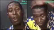 Rib-cracking video of thief forced to sing after he was caught stealing at UEW central campus pops up