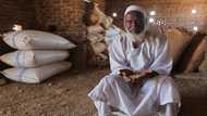 Sudan wheat harvest waits to rot as hunger crisis looms