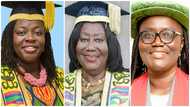 Female history makers in academia: 5 women who were 1st to hold high positions at top universities in GH