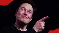 Elon Musk says X will charge all users monthly subscription fee