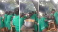 Ghanaian nursing students wow many as they fight 'gidigidi' over food in video