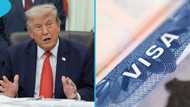 US lists 4 medical conditions that may lead to visa rejection in 2026