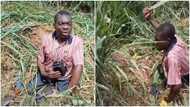 Disabled man who weeds for a living melts hearts in video with inspiring story; Folks applaud him
