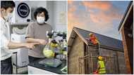 Scientists in Japan use cabbage, banana peels and other food substances to build house