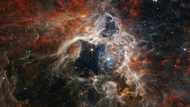 NASA's Webb catches Tarantula Nebula