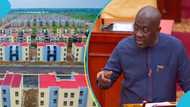 "We will see the rot": Minority kicks against private partnership in Saglemi Housing Project