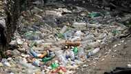 Talks kick off on global plastic trash treaty