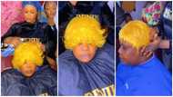 Video of lady's yellow pixie hairstyle goes viral on social media: "Dripping custard"