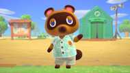 30 hilarious Animal Crossing memes to brighten up your day