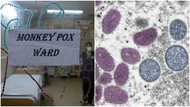 Monkeypox outbreak hits Greater Accra, 55 cases and one death recorded