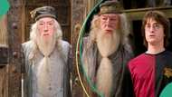 Popular Harry Potter actor Michael Gambon known for playing Professor Dumbledore dies at 82