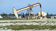 Oil rises after sell-off but euro stuck at 20-year low, equities drop