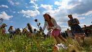 Czechs start razing pig farm built over WWII Roma camp