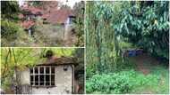 400-year-old house filled with rats, rabbits and mice sold online for GHc6.2million