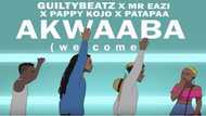 Akwaaba song and dance lyrics