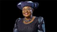 Nigeria's ex-finance minister Okonjo-Iweala finally appointed as WTO DG