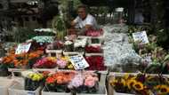 Florists prepare for soaring sales ahead of queen's funeral