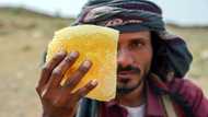 Yemen's ancient honey production a victim of war, climate change