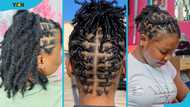 40+ easy short loc styles for females with short hair (inspiration gallery)