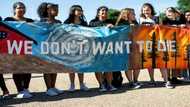 Looking for reasons to be cheerful about climate action