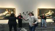 Activists glue hands to Goya frames at Prado: Spanish police