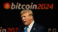 Trump victory signals golden era for crypto industry