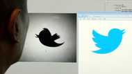 Medical community frets over fate of Twitter