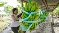 Ecuador backtracks on plan to send weapons to Ukraine