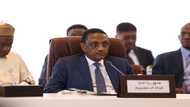 Chadian FM resigns blaming junta for his exit