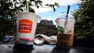Auld reekie: Edinburgh bin strike leaves a bad smell