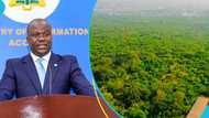 Government to release 262 acres of Achimota Forest land to Owoo family