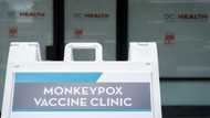 Studies to see if mutations behind monkeypox spread: WHO