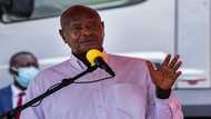 Museveni apologises over son's Twitter rant on Kenya