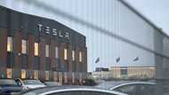 Tesla's Musk says fallout from Sweden strike 'insane'