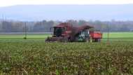 EU ready to tax Russian fertilisers as early as July