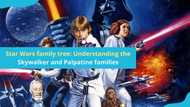 Star Wars family tree: Understanding the Skywalker and Palpatine families