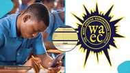 Boy who wants to study medicine and surgery displays his WAEC result, seeks answers