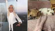 Thieves who stole Lady Gaga’s dog arrested: 5 caught and linked to the crime
