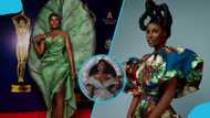Nana Akua Addo stirs reactions with cryptic post on professional career