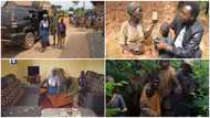 Boy who lived in bushes and eats grasses gifted furnished house, wads of cash in emotional video