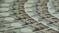 Yen rallies on rate hike bets as equity markets swing