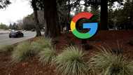 Google stops work on big Silicon Valley campus: report