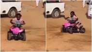 Whose daughter is she? Massive reactions as kid rides toy bike to form circles in viral video