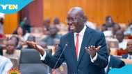 Ghana to resume issuing long-dated domestic bonds following Akufo-Addo administration's DDEP