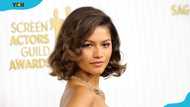 Zendaya's siblings: Meet her five sisters and brothers (full profiles)