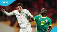 CAF provides fresh update on Senegal and Morocco after AFCON 2025 verdict