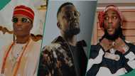 Sarkodie says he didn't jab Wizkid, Burna Boy and others in Brag song, explains meaning in video