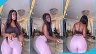 Hajia Bintu's curves grow bigger and wider in new video, many ask if it is real