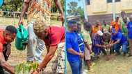 Volta’s forests under siege: Tree planting drive takes aim at bushfires and land encroachment