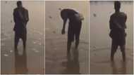 Video showing internet fraudsters spraying heavy cash into river causes stir on social media